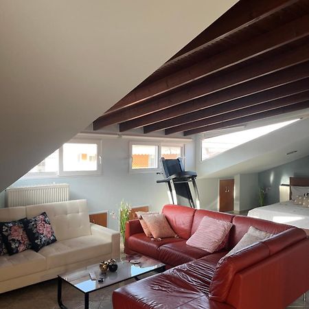 Attic Family Apartment Παραλία Διονυσίου Εξωτερικό φωτογραφία
